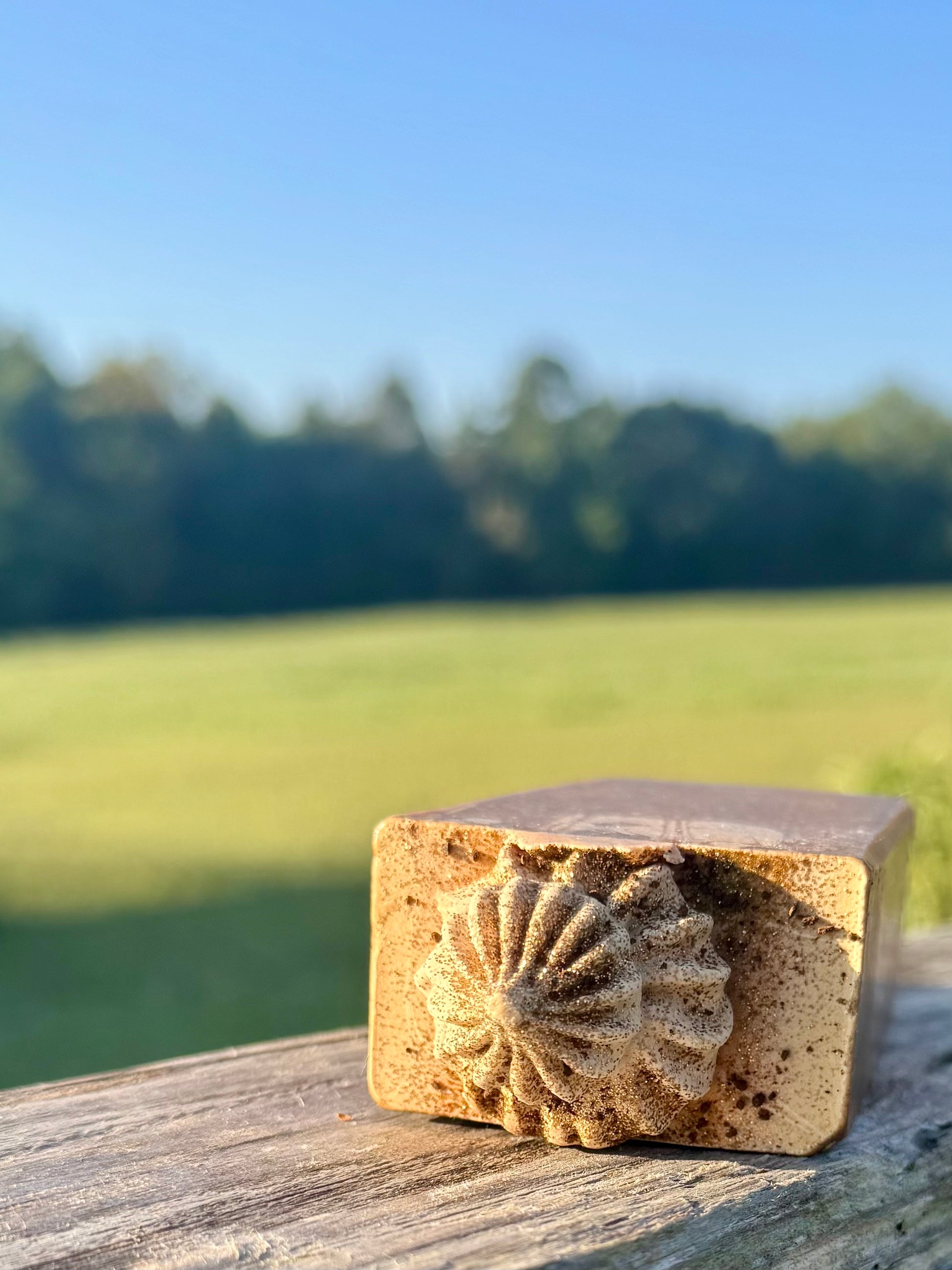 Coffee Shop Goat Milk Soap
