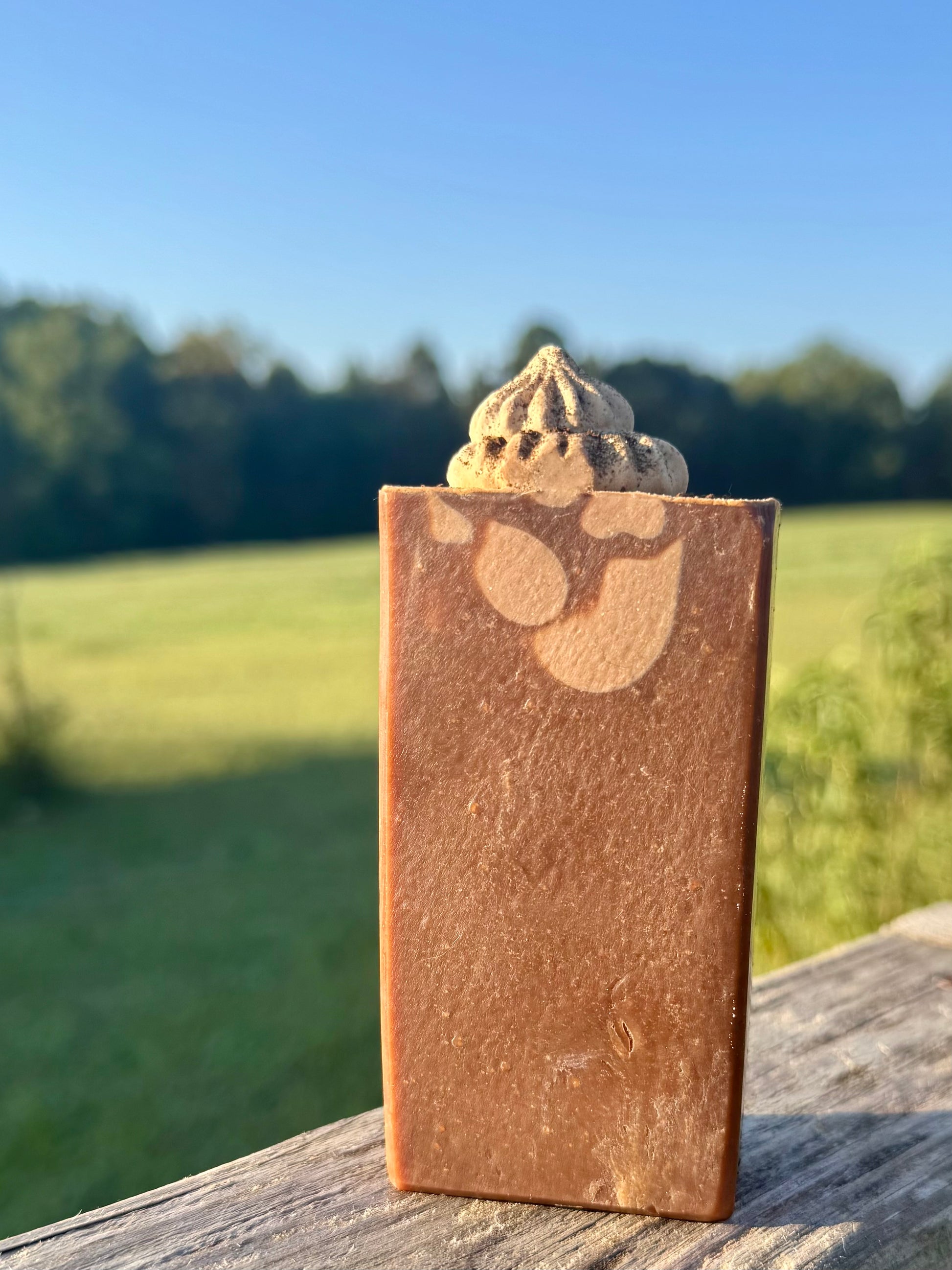 Coffee Shop Goat Milk Soap